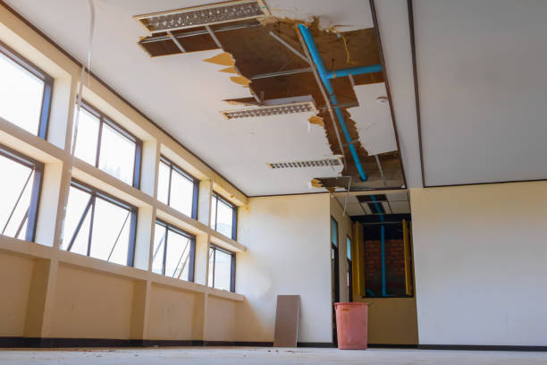 Best Sewage cleanup and water damage restoration  in Greenwood Lake, NY