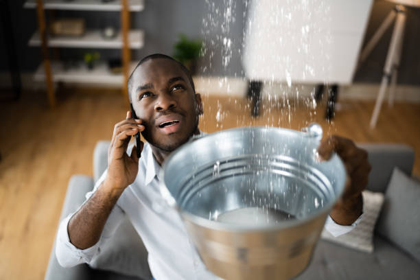 Best Mold removal after water damage  in Greenwood Lake, NY