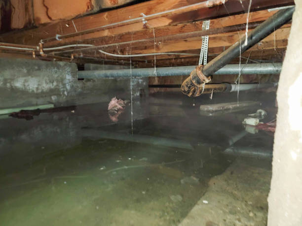 Reliable Greenwood Lake, NY Water damage restoration Solutions