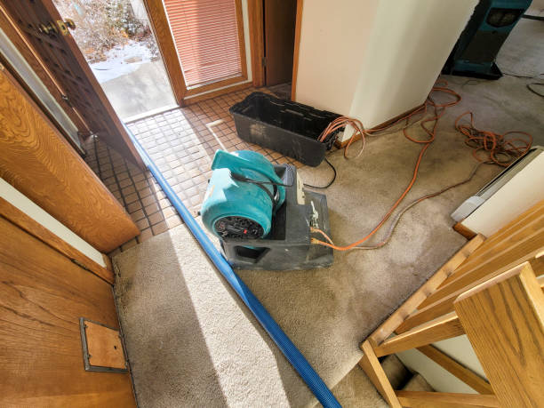 Best Water damage restoration process  in Greenwood Lake, NY