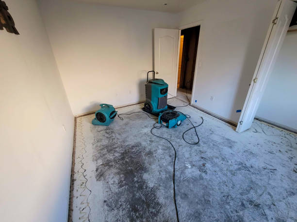 Best Carpet water damage restoration  in Greenwood Lake, NY