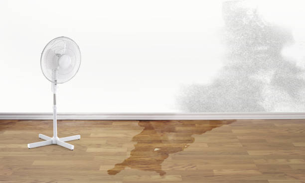 Best Residential water damage restoration  in Greenwood Lake, NY