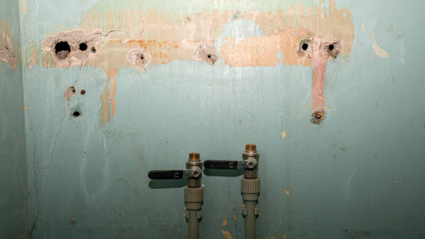 Best Water damage cleanup near me  in Greenwood Lake, NY