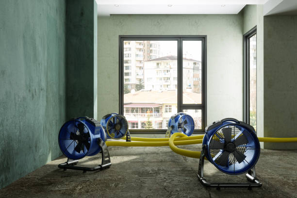 Reliable Greenwood Lake, NY Water damage restoration Solutions